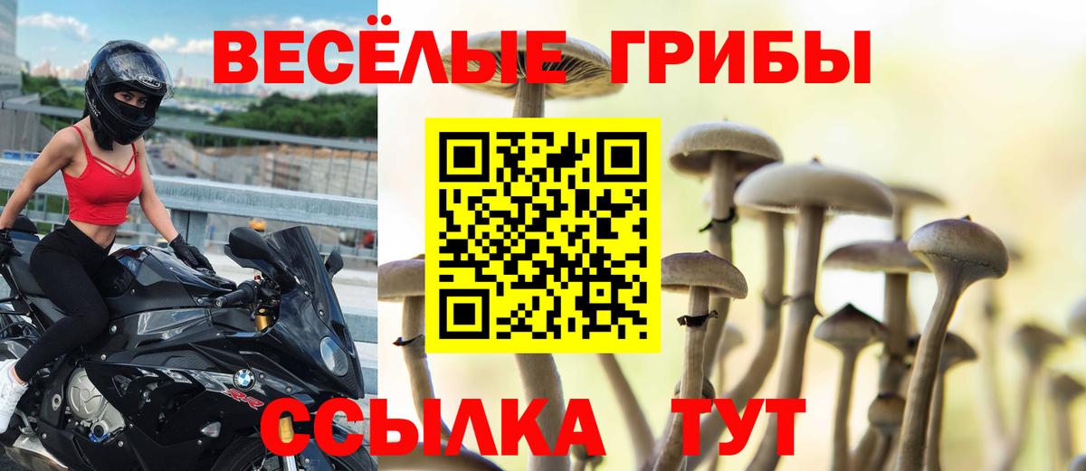 Псилоцибиновые грибы ЛСД Боровичи