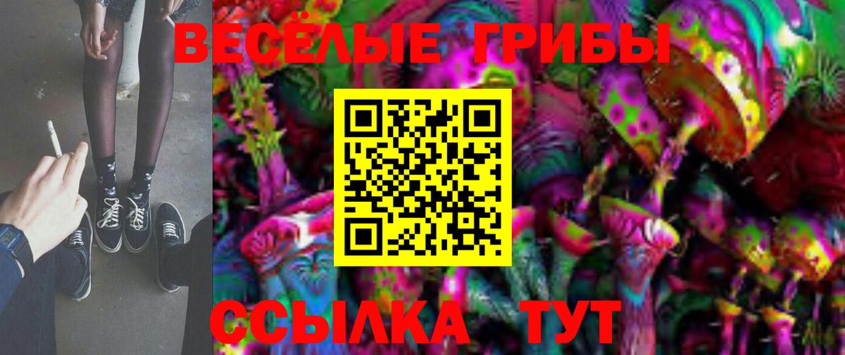 хочу наркоту  Псилоцибиновые грибы GOLDEN TEACHER  Вход с VPN  Боровичи 